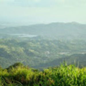 Meet your Posher, Danny lee